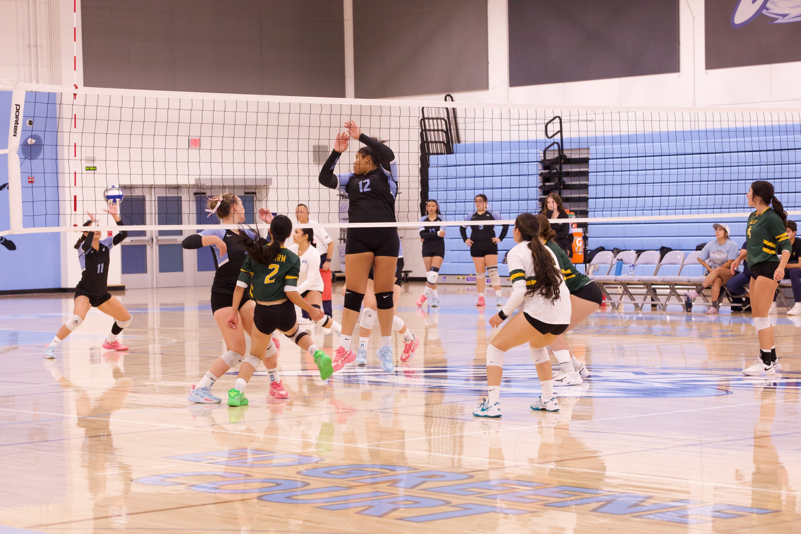 VOLLEYBALL 10125 (151)