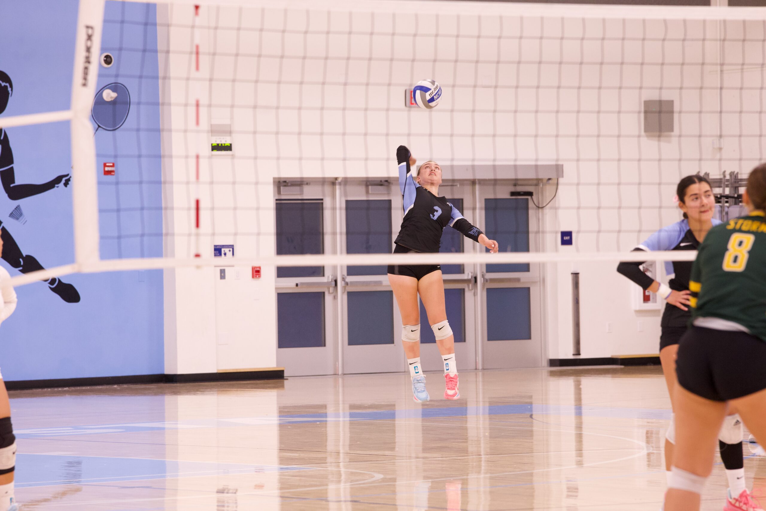 VOLLEYBALL 10125 (175)