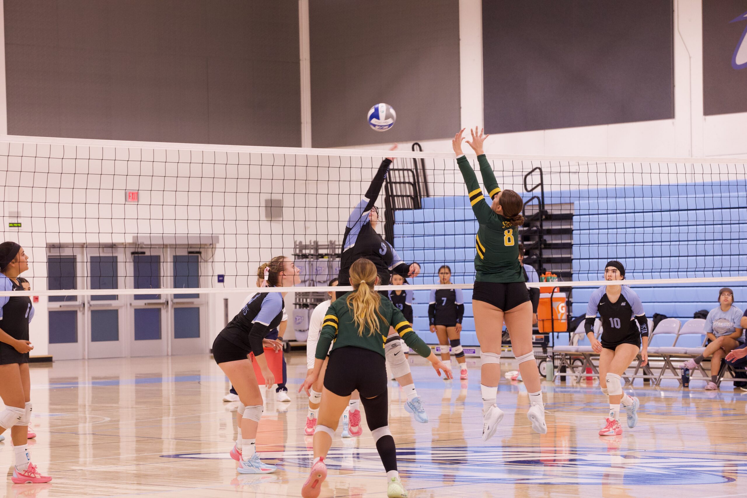 VOLLEYBALL 10125 (176)