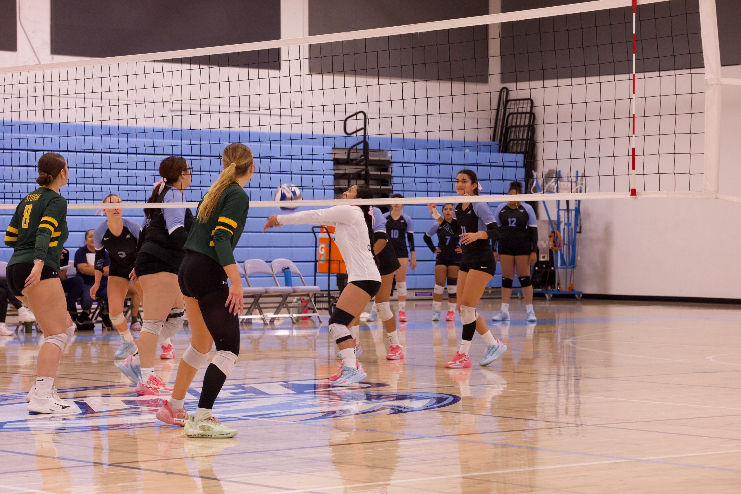 VOLLEYBALL 10125 (286)