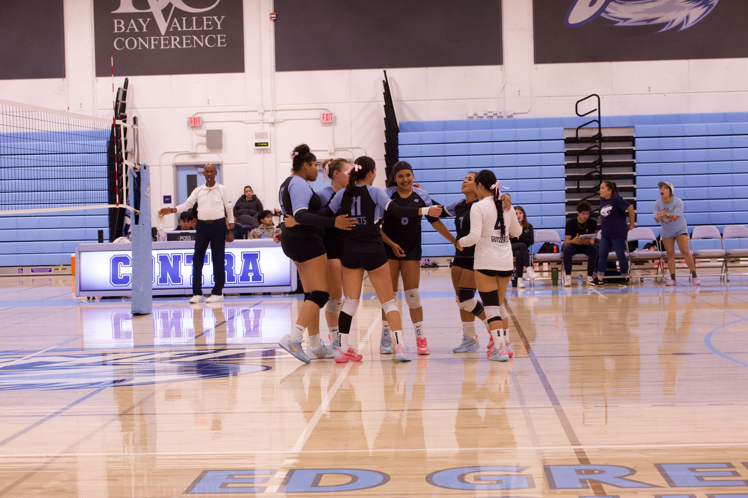 VOLLEYBALL 10125 (302)