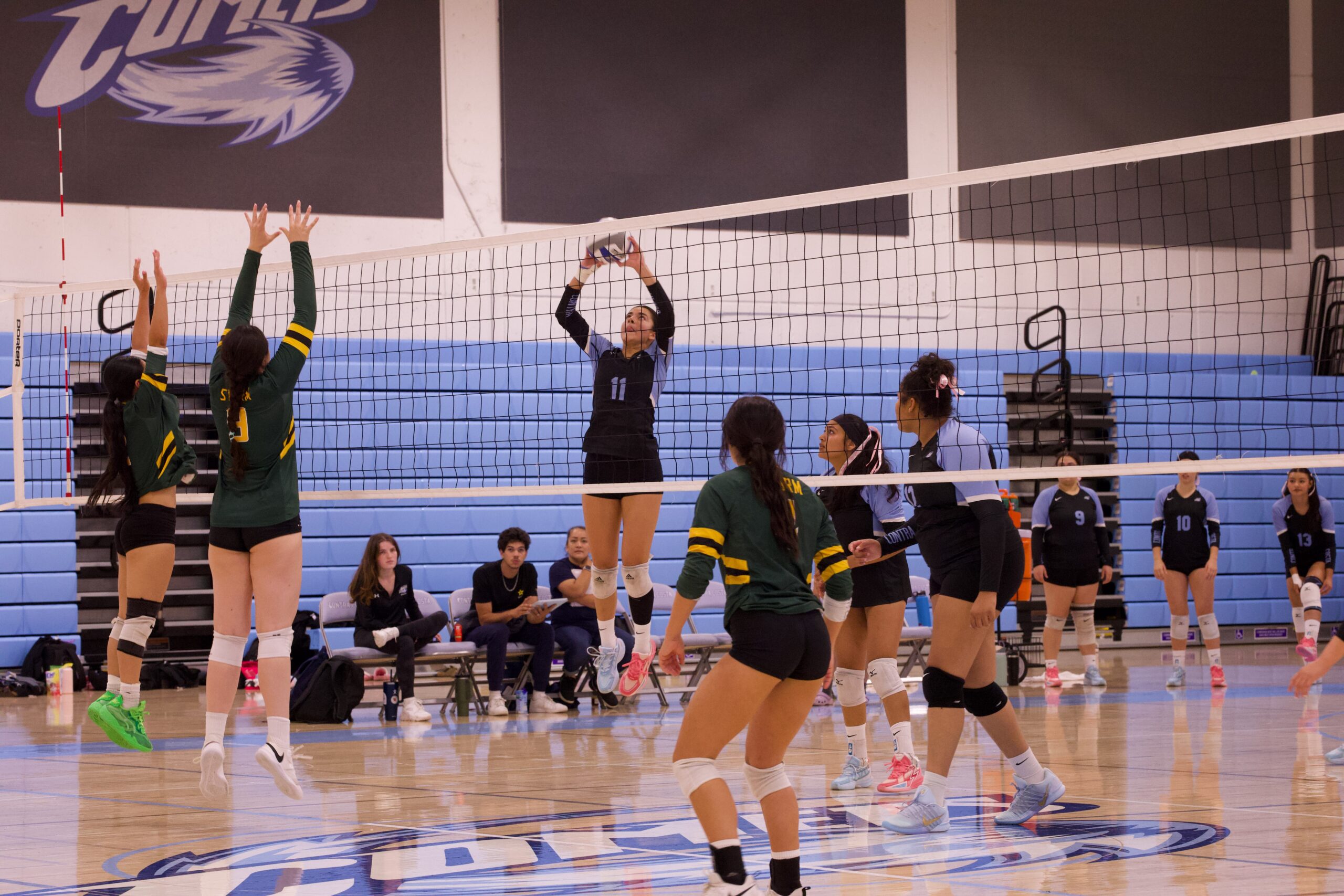 VOLLEYBALL 10125 (310)