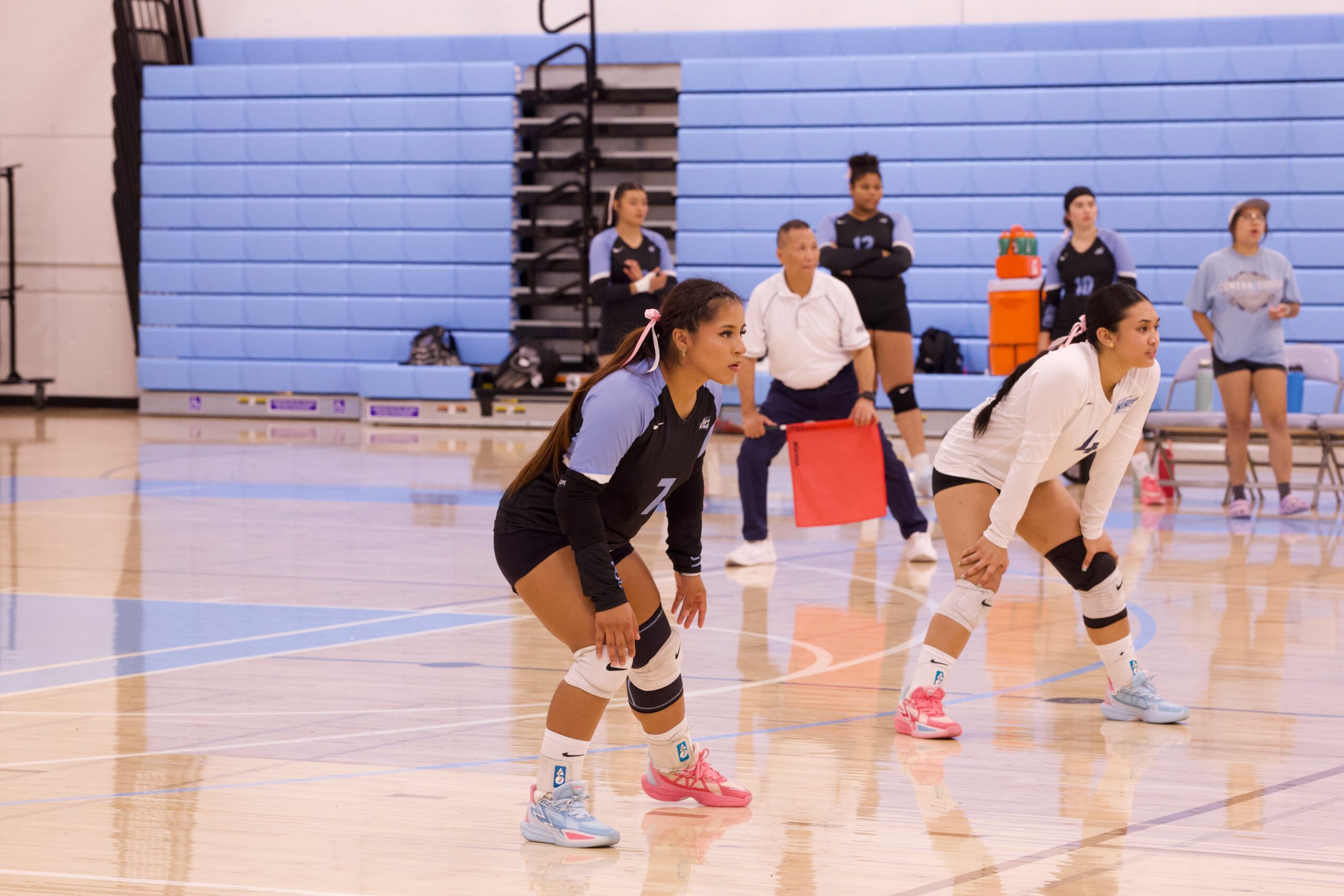 VOLLEYBALL 10125 (352)