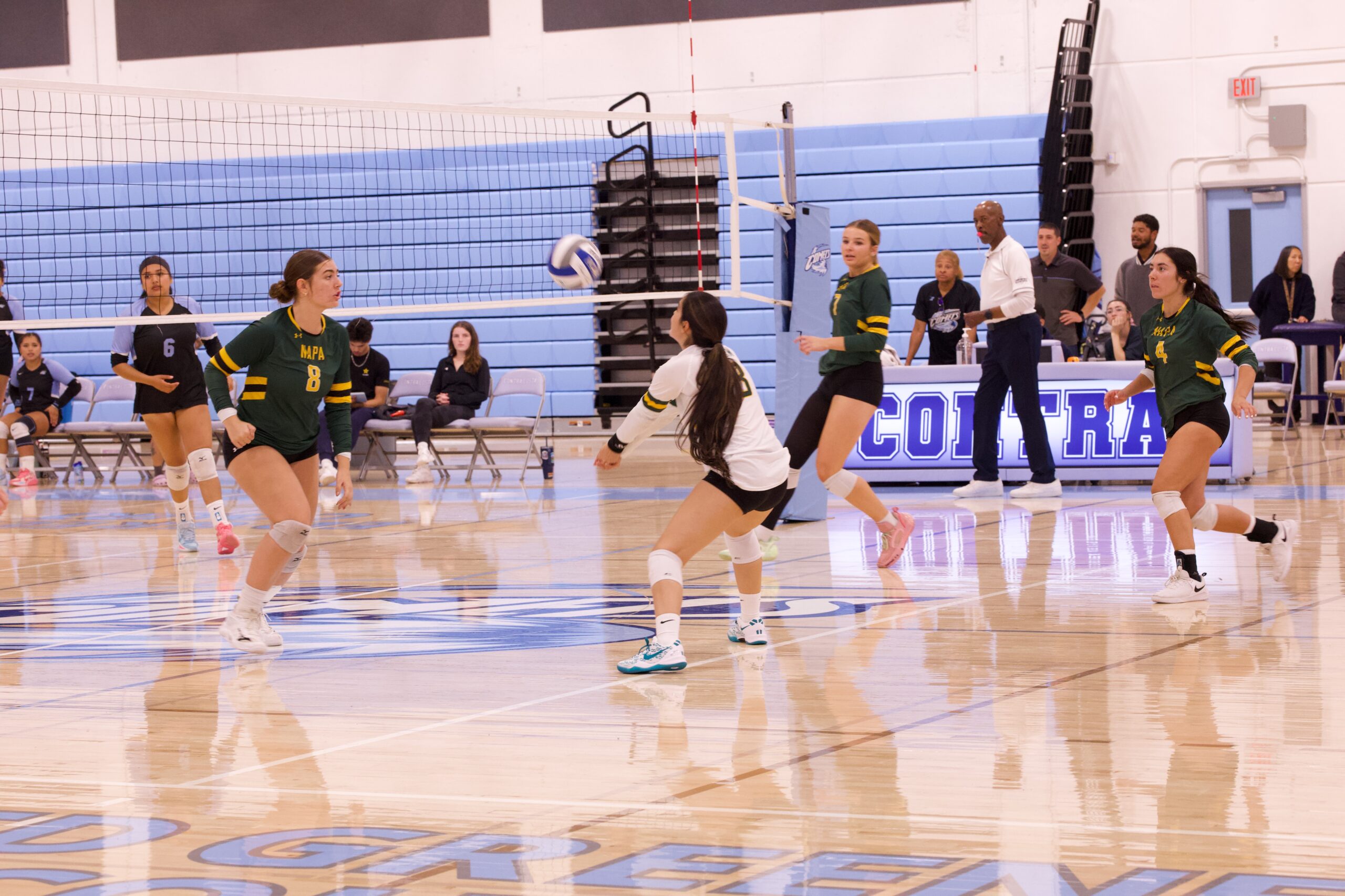 VOLLEYBALL 10125 (440)