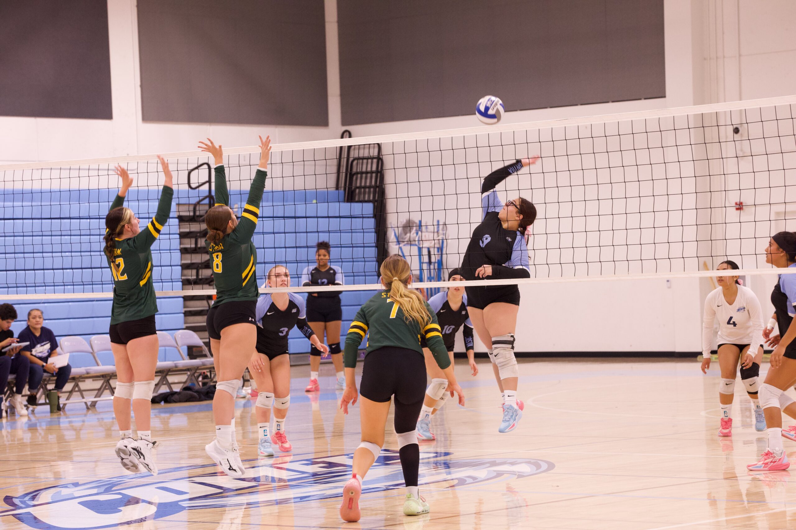 VOLLEYBALL 10125 (56)