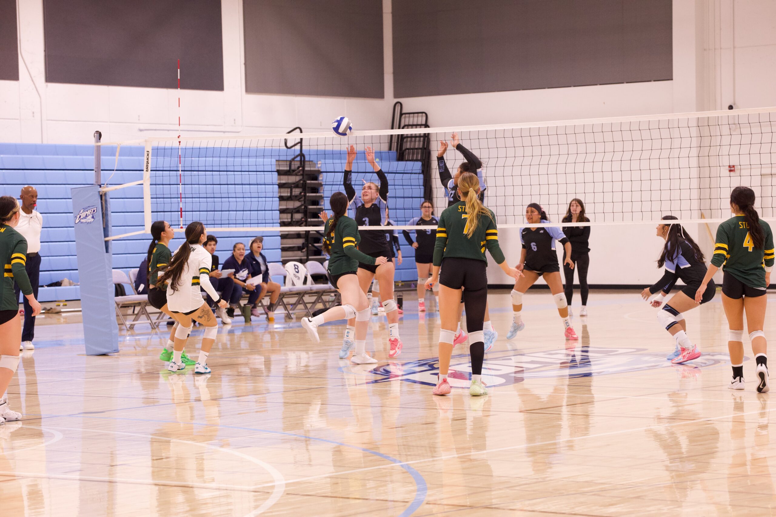 VOLLEYBALL 10125 (73)