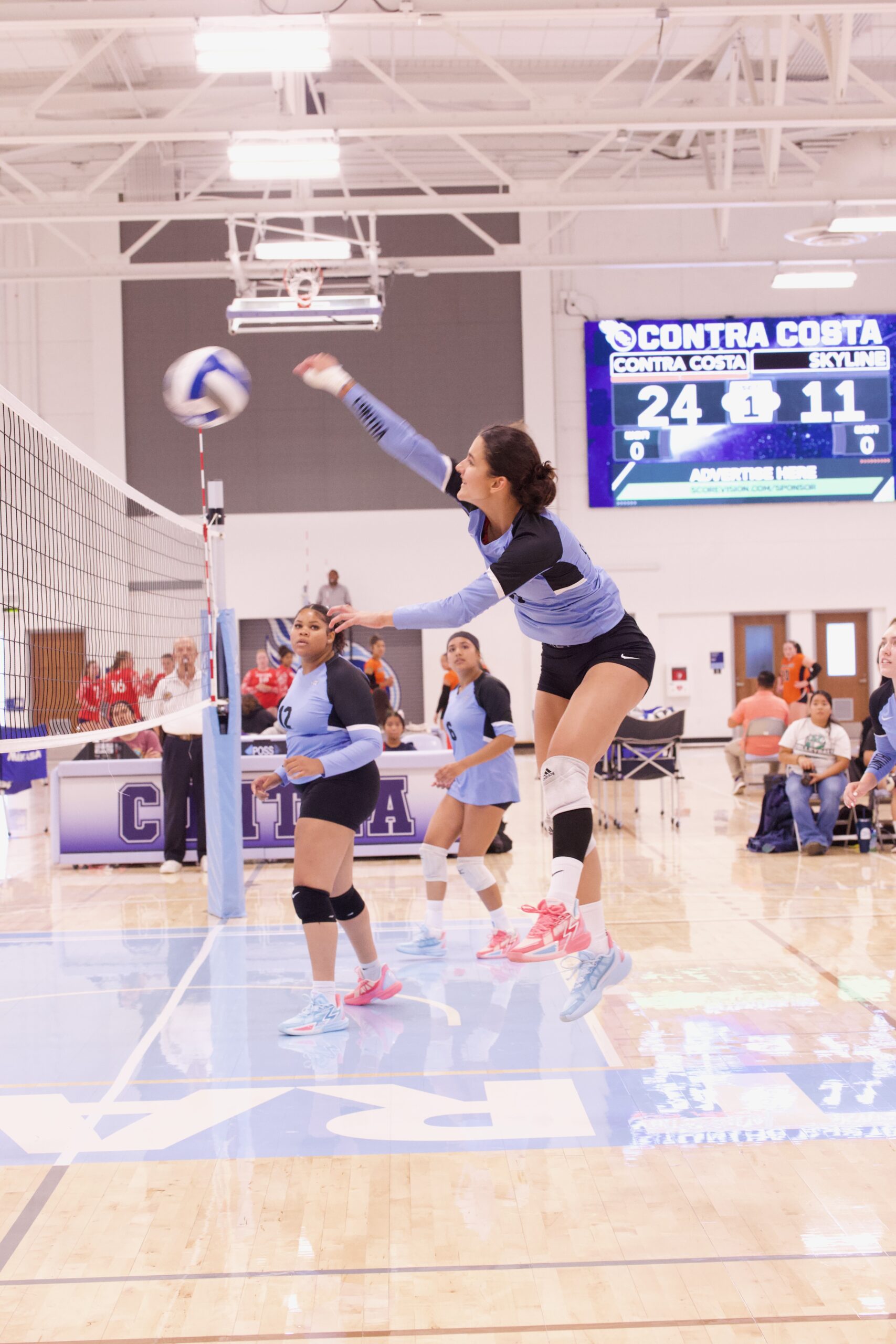 VOLLEYBALL 92625 (416)