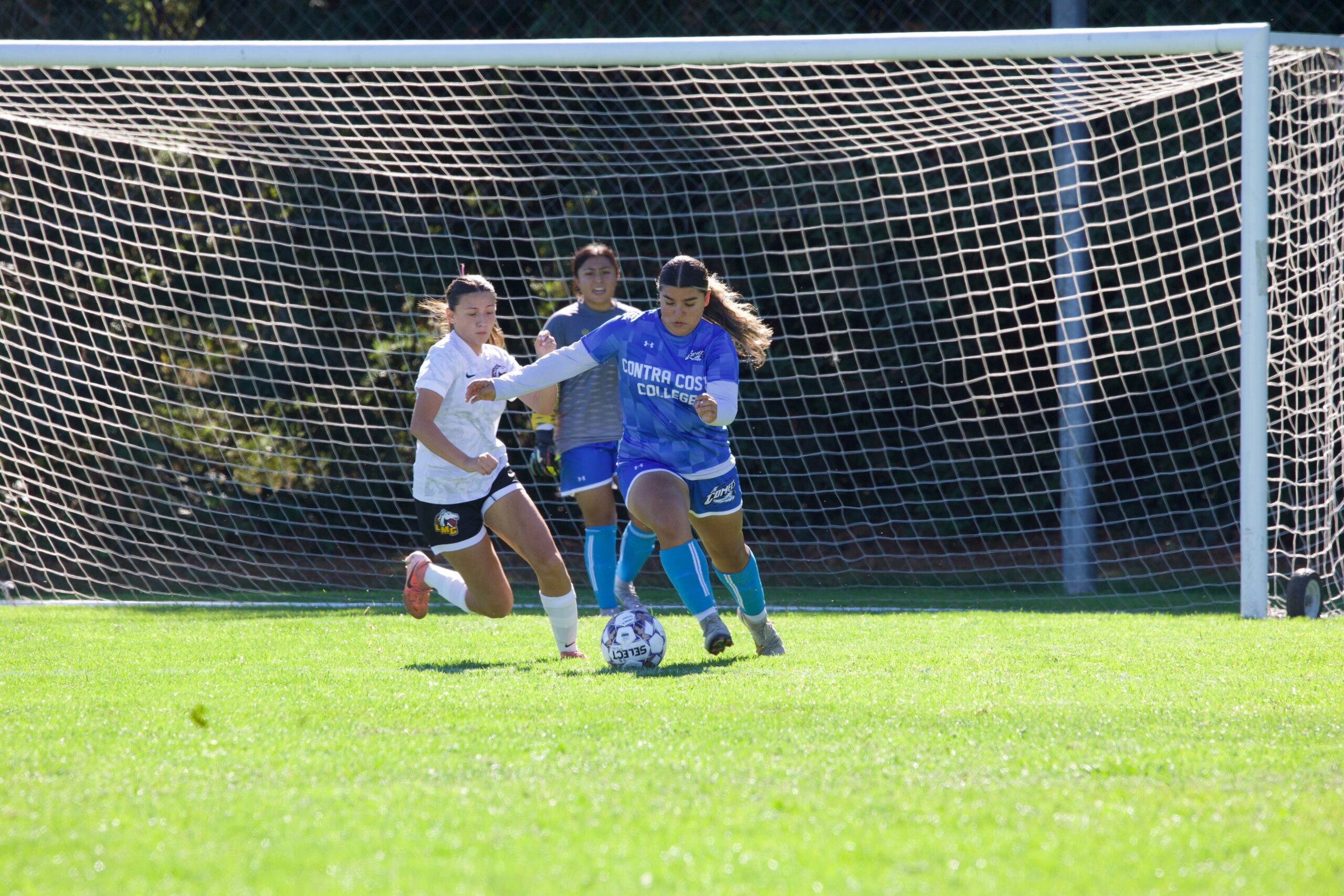 10325 WSOC (12)