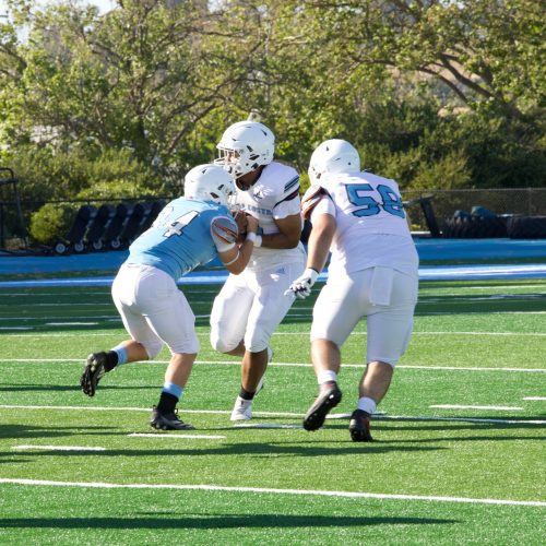 52125 (50) Football