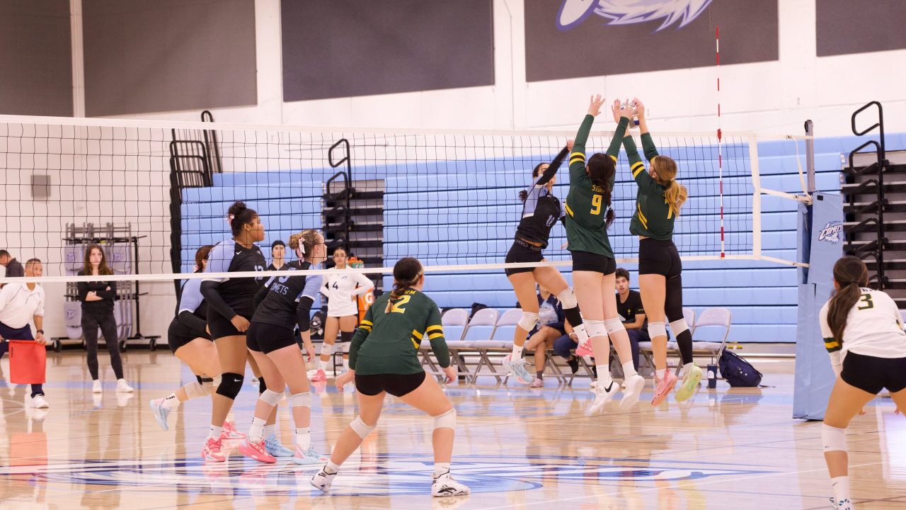 VOLLEYBALL 10125 (132)