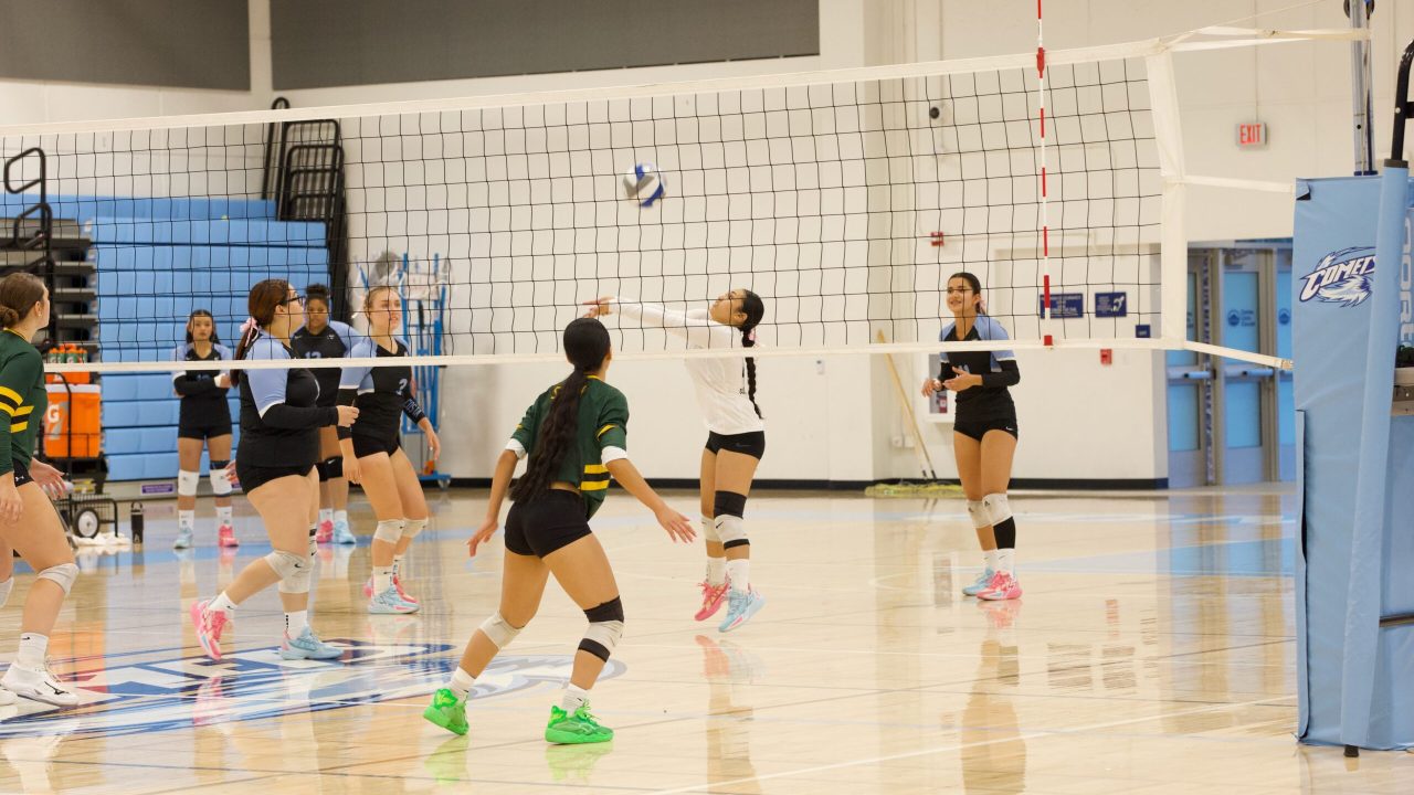 VOLLEYBALL 10125 (14)