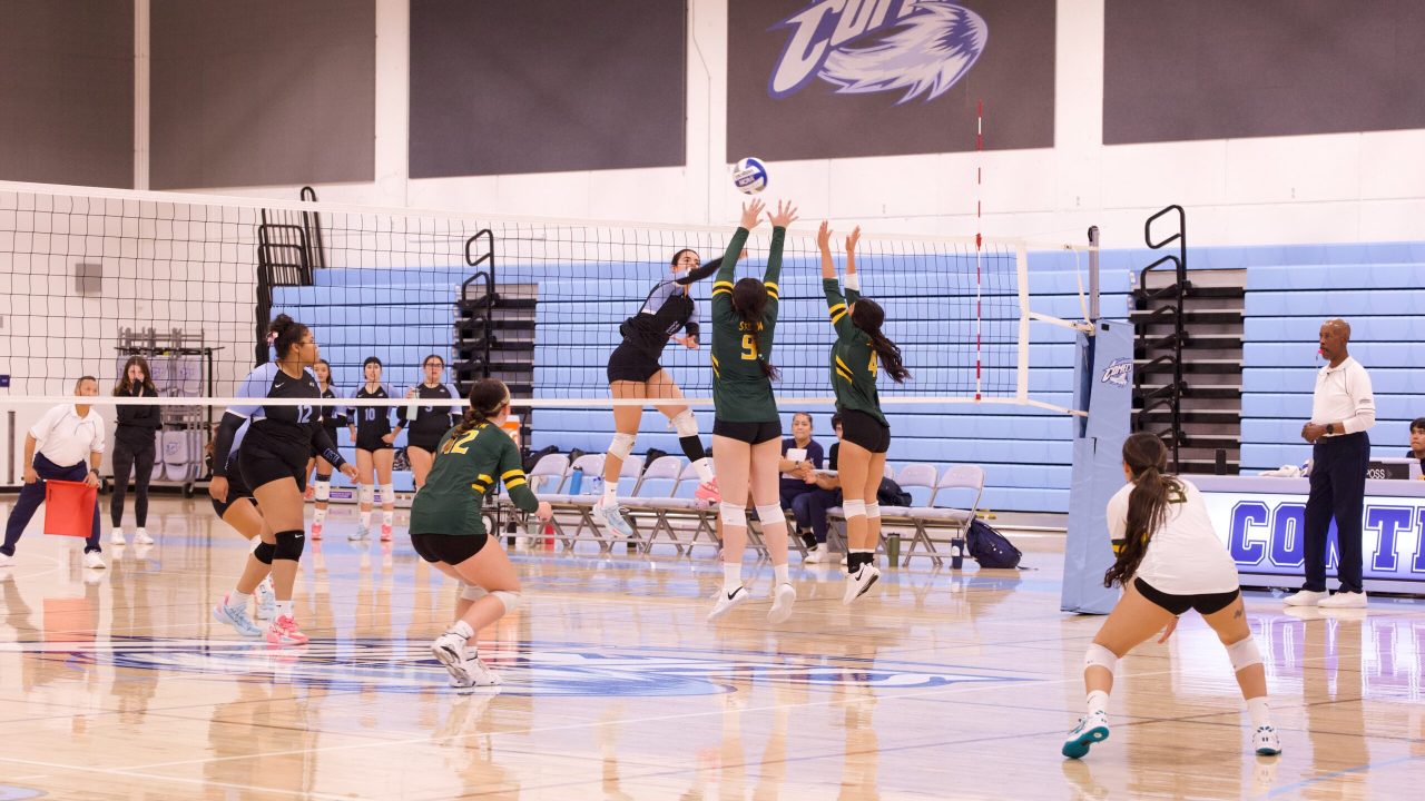 VOLLEYBALL 10125 (140)