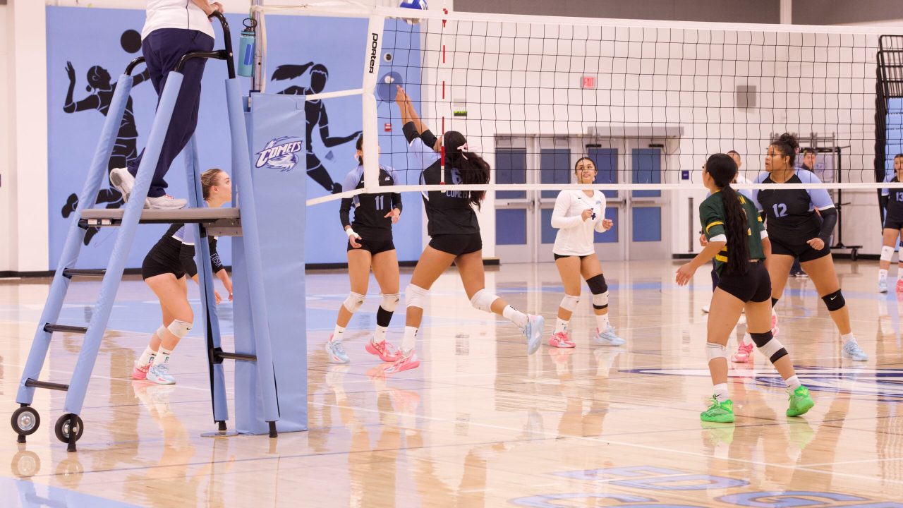 VOLLEYBALL 10125 (143)