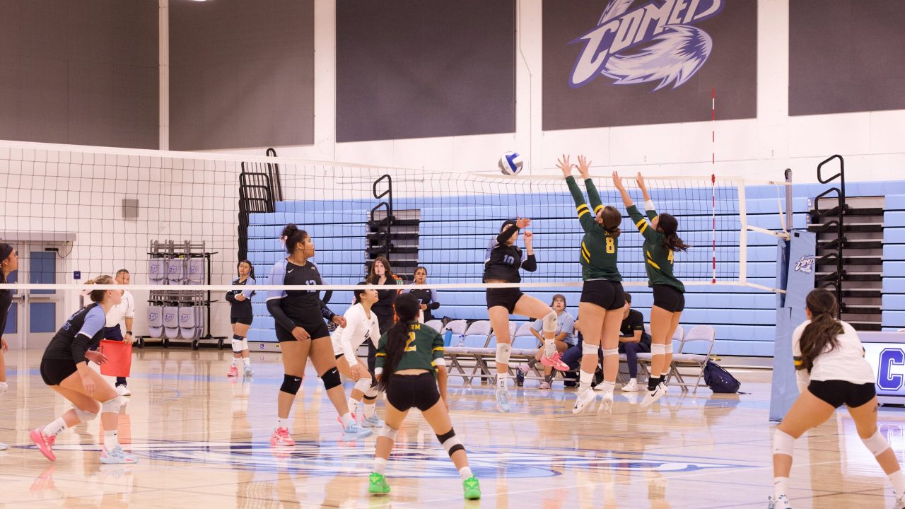 VOLLEYBALL 10125 (149)