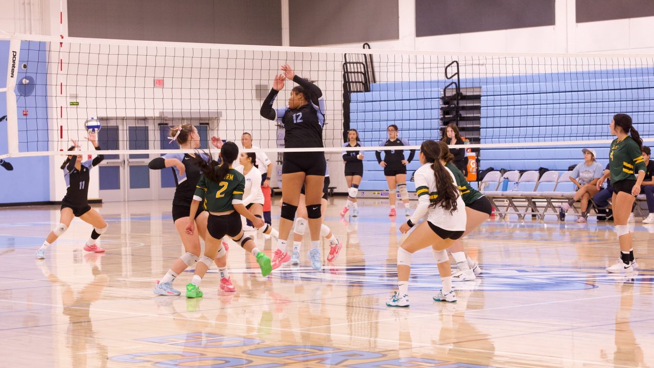 VOLLEYBALL 10125 (151)