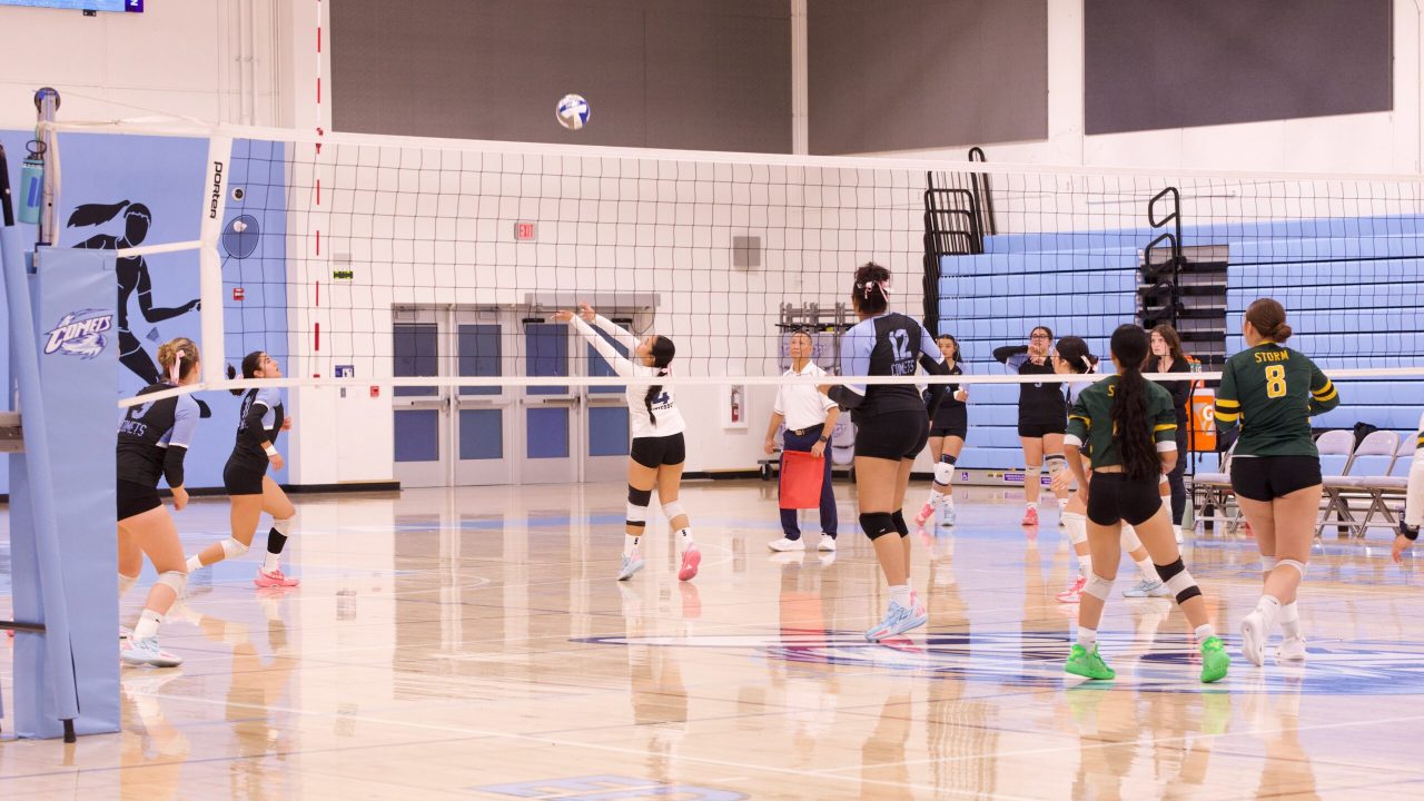 VOLLEYBALL 10125 (152)