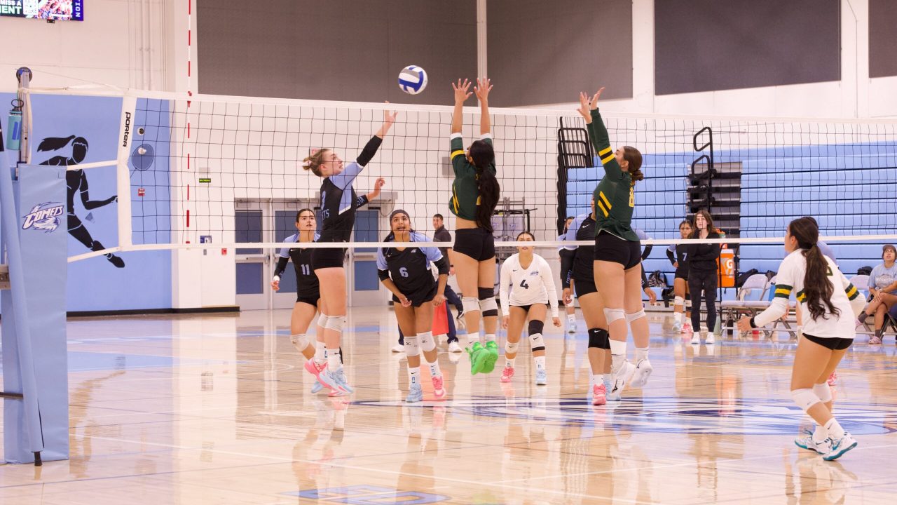 VOLLEYBALL 10125 (156)