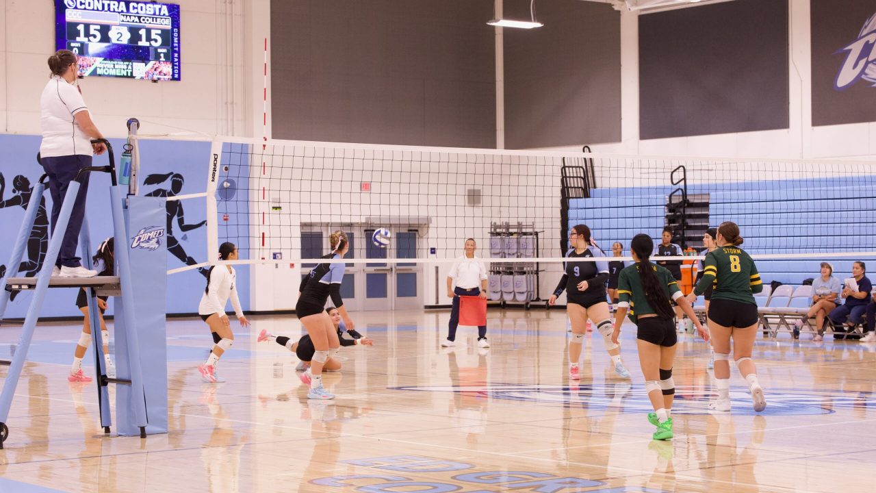 VOLLEYBALL 10125 (171)