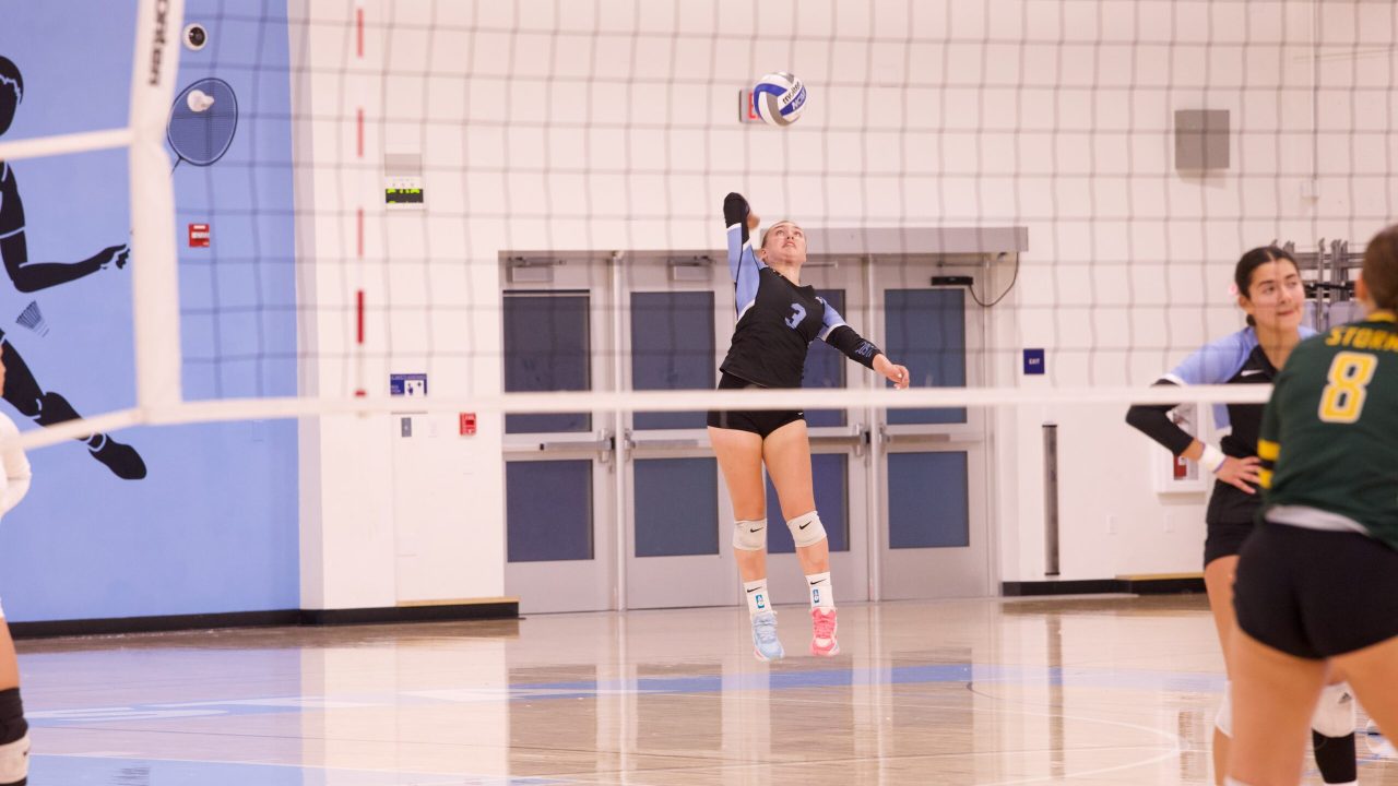 VOLLEYBALL 10125 (175)