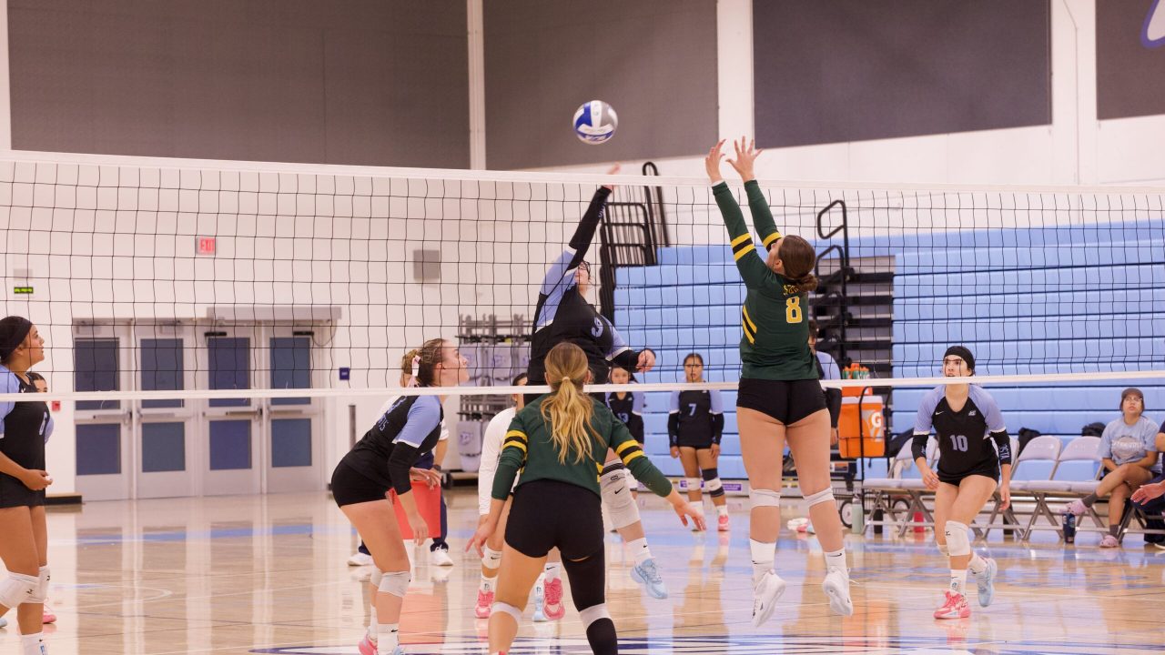 VOLLEYBALL 10125 (176)