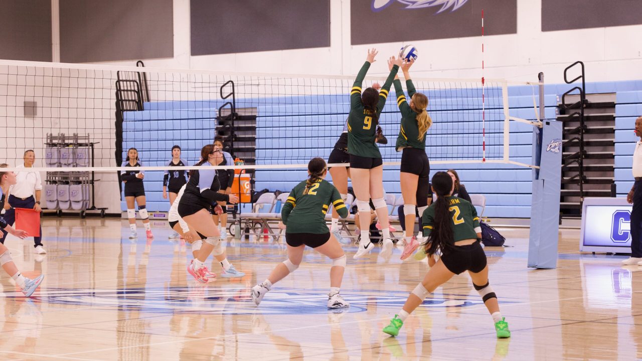 VOLLEYBALL 10125 (185)