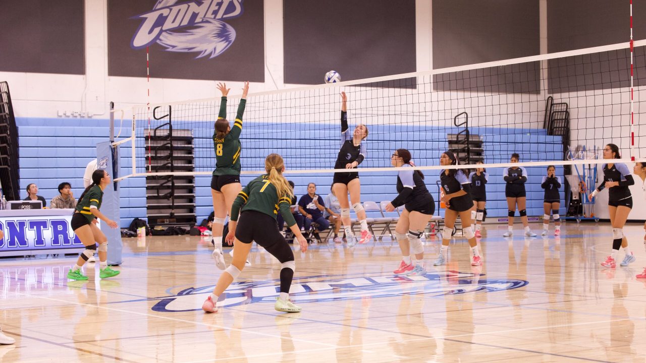 VOLLEYBALL 10125 (211)