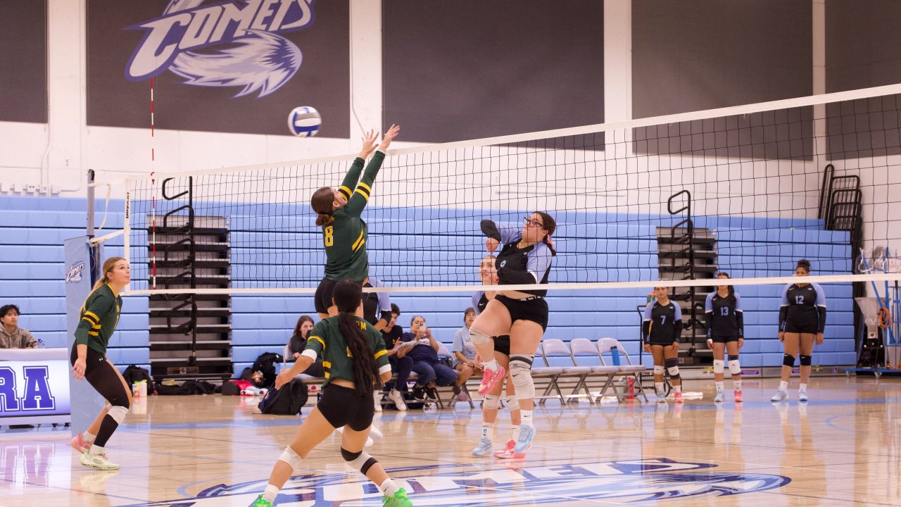 VOLLEYBALL 10125 (239)