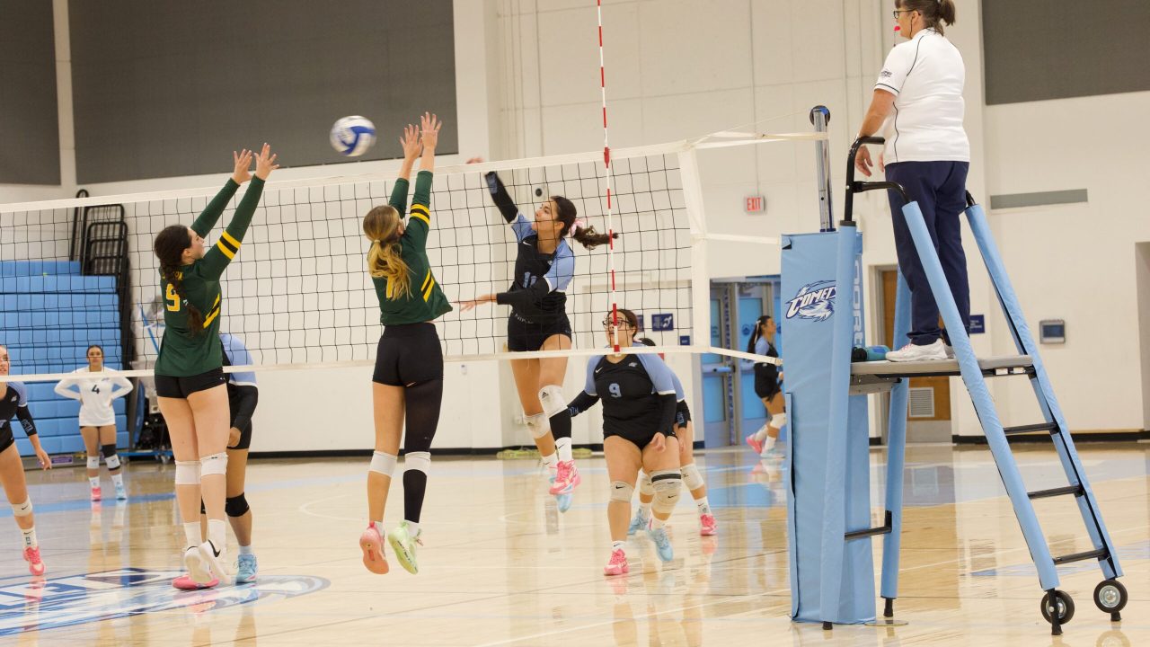 VOLLEYBALL 10125 (25)