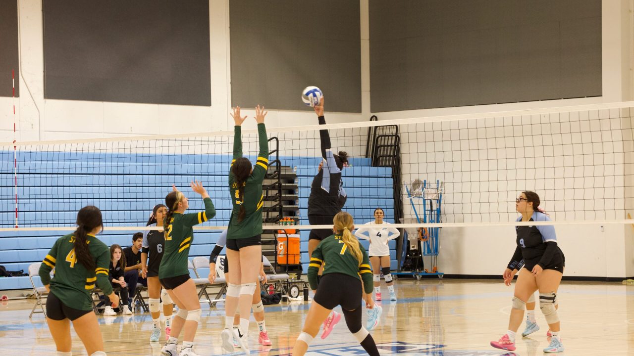 VOLLEYBALL 10125 (26)