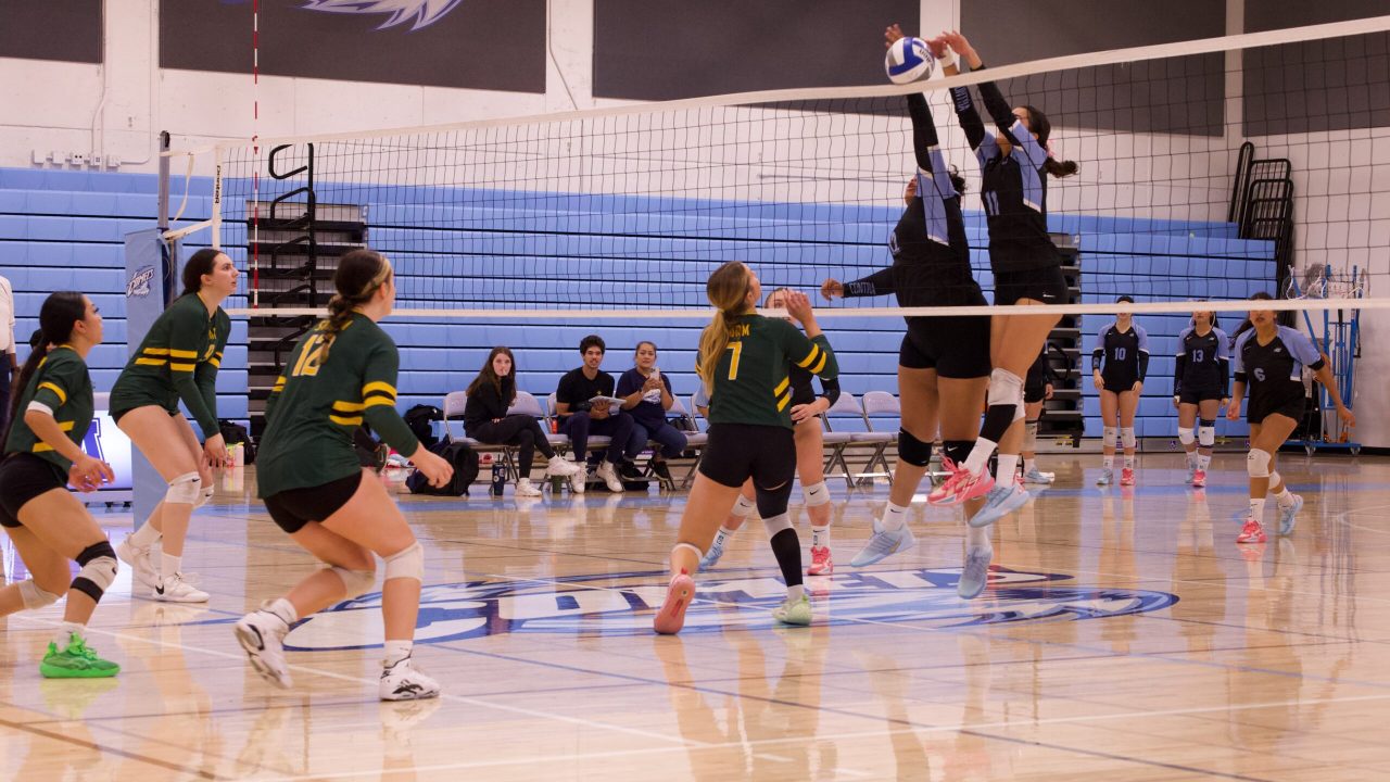 VOLLEYBALL 10125 (266)