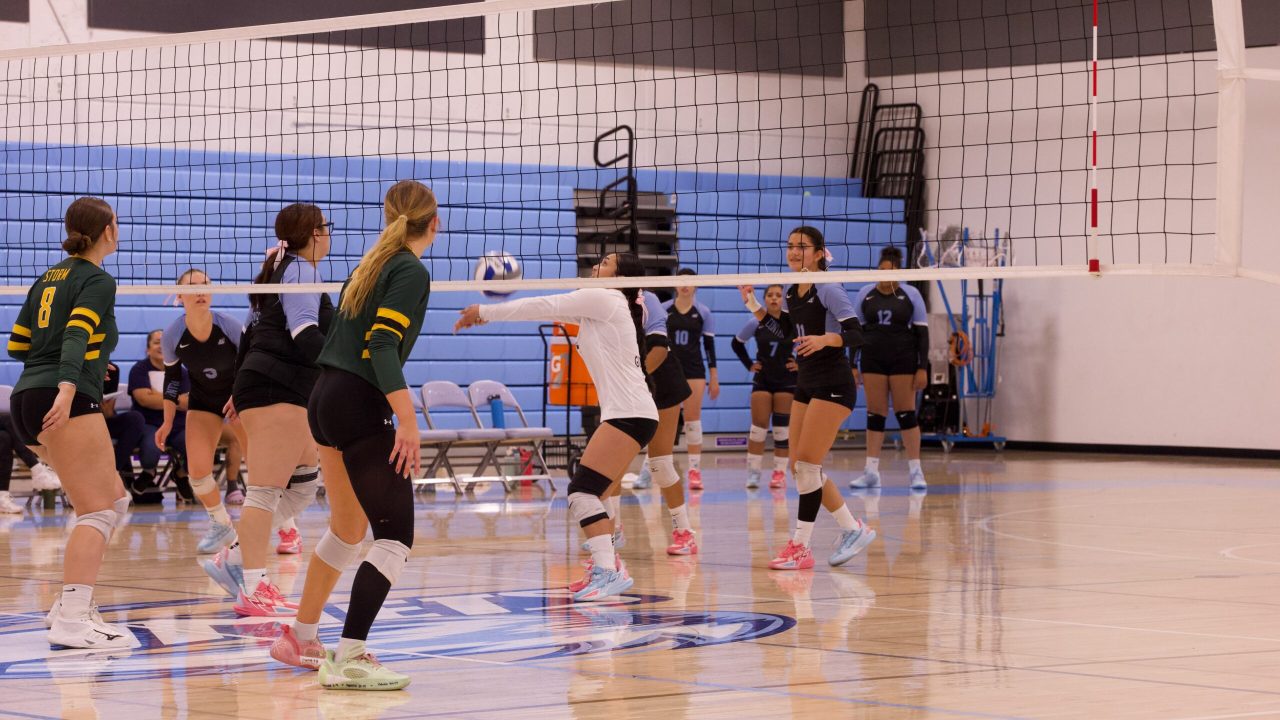 VOLLEYBALL 10125 (286)