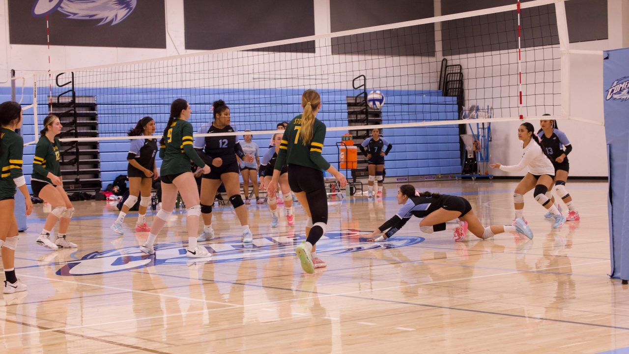 VOLLEYBALL 10125 (298)