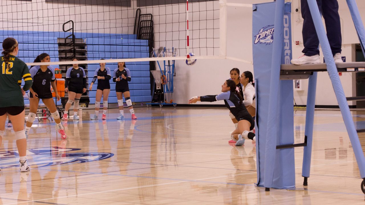 VOLLEYBALL 10125 (304)