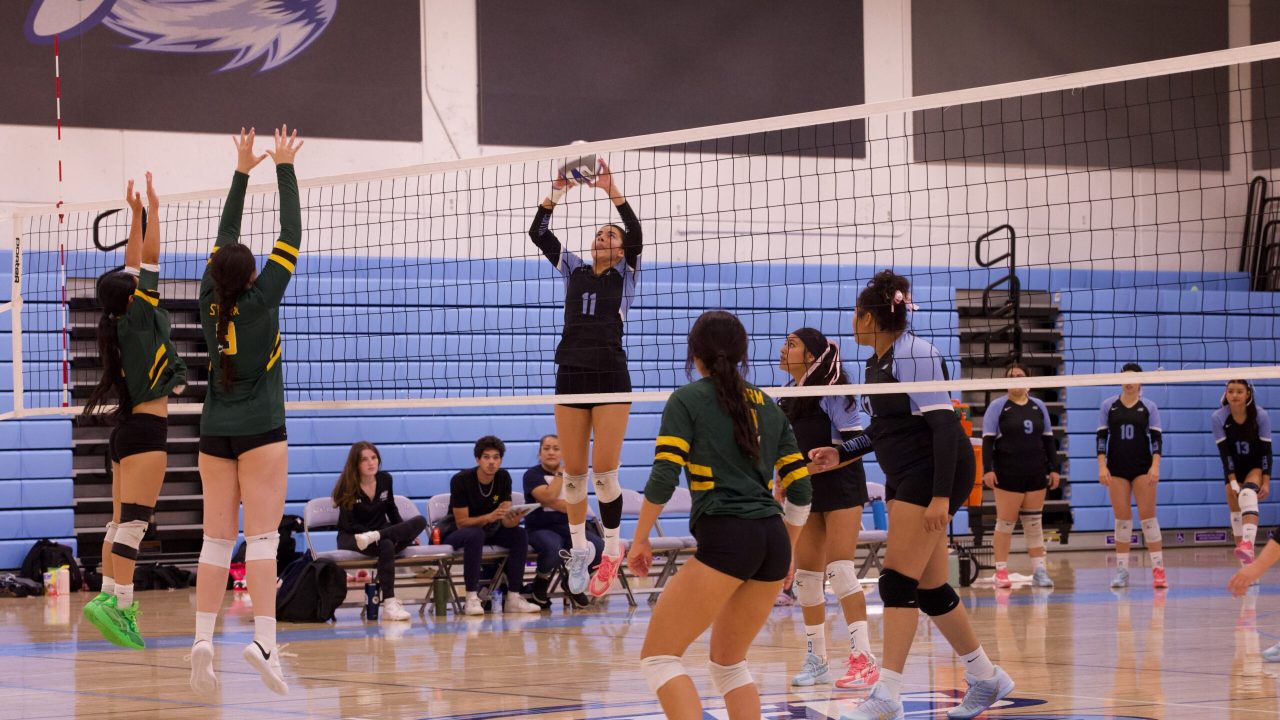 VOLLEYBALL 10125 (310)