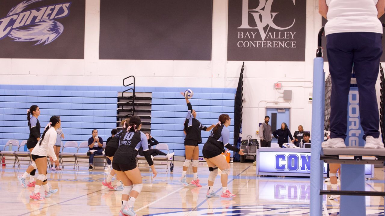 VOLLEYBALL 10125 (339)