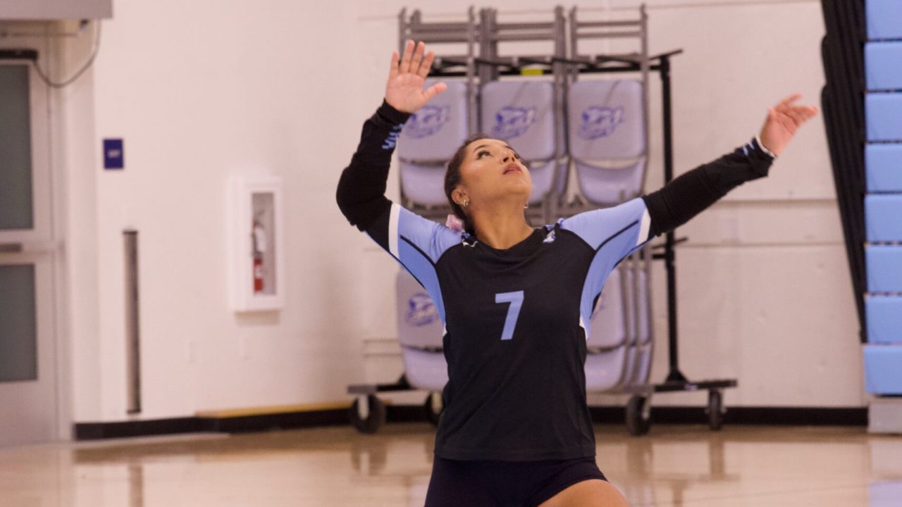 VOLLEYBALL 10125 (341)