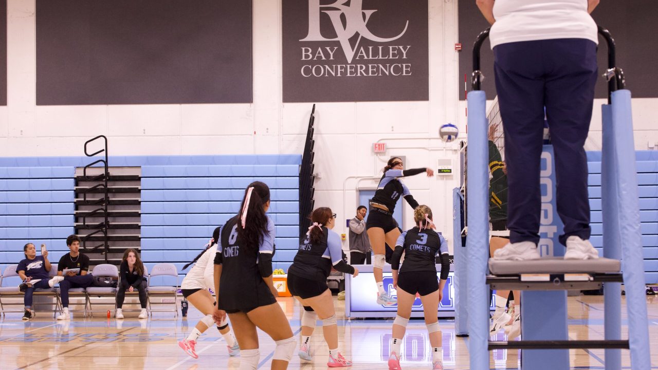 VOLLEYBALL 10125 (344)