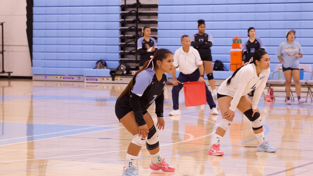 VOLLEYBALL 10125 (352)