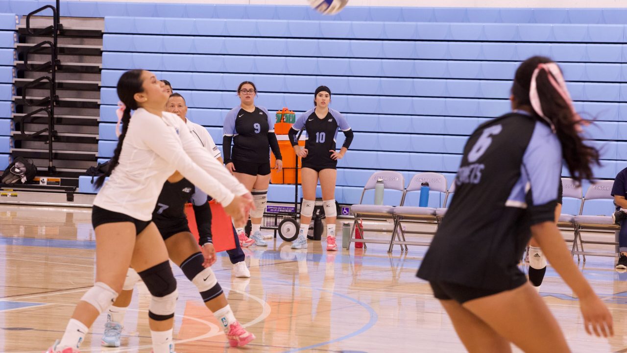 VOLLEYBALL 10125 (367)