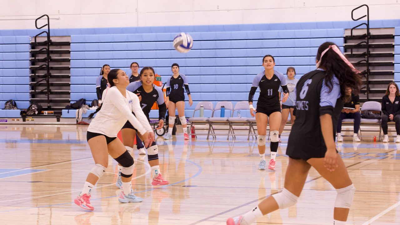 VOLLEYBALL 10125 (376)