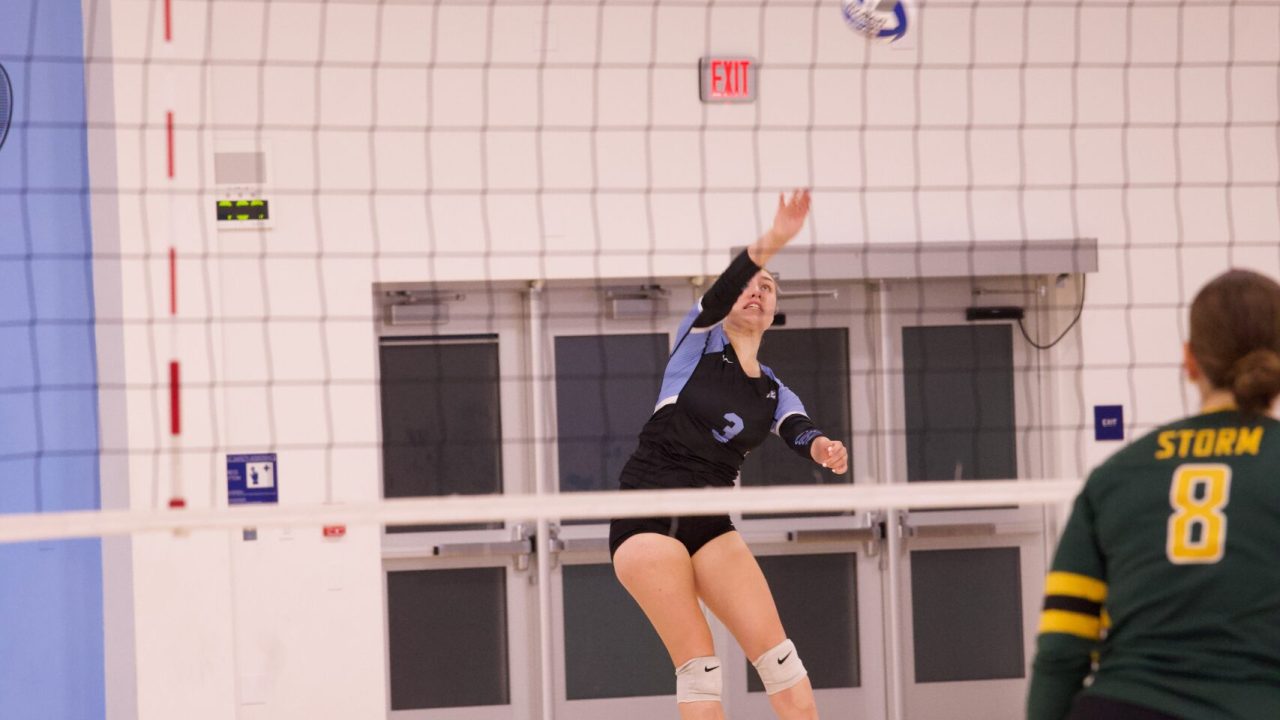 VOLLEYBALL 10125 (400)