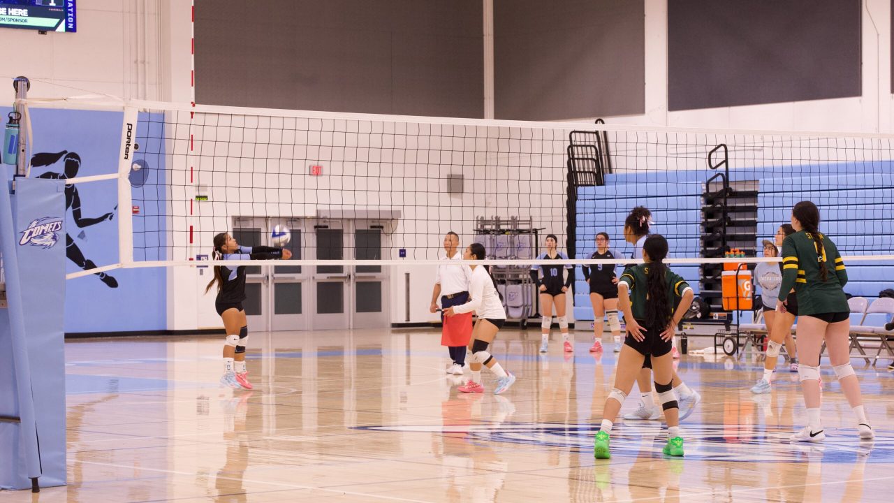 VOLLEYBALL 10125 (425)