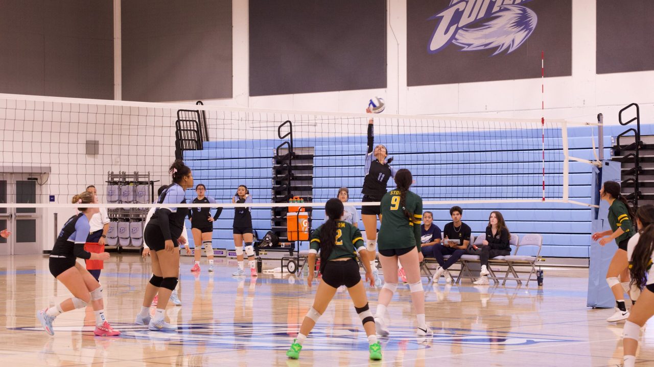 VOLLEYBALL 10125 (427)