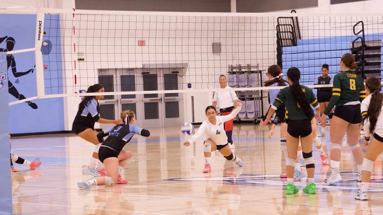 VOLLEYBALL 10125 (433)