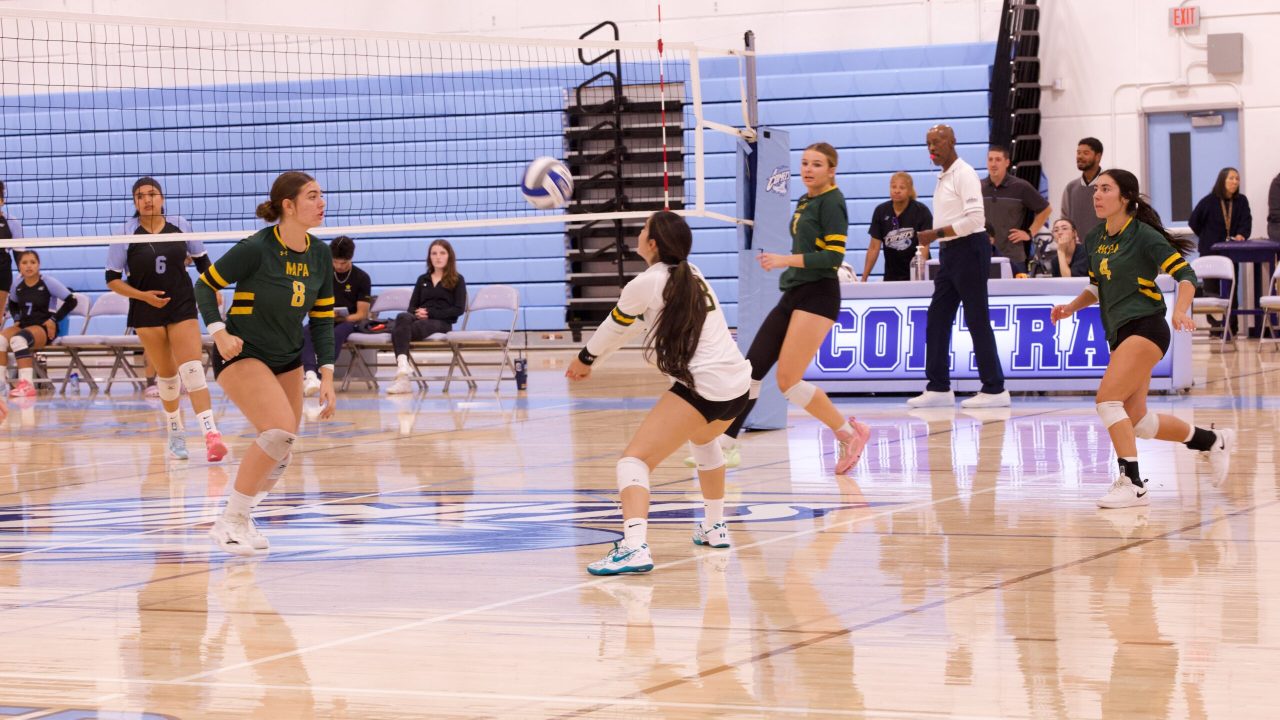 VOLLEYBALL 10125 (440)