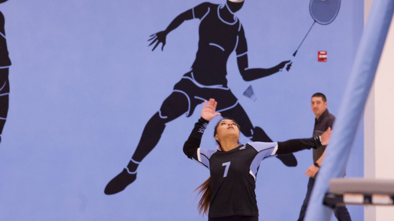 VOLLEYBALL 10125 (445)