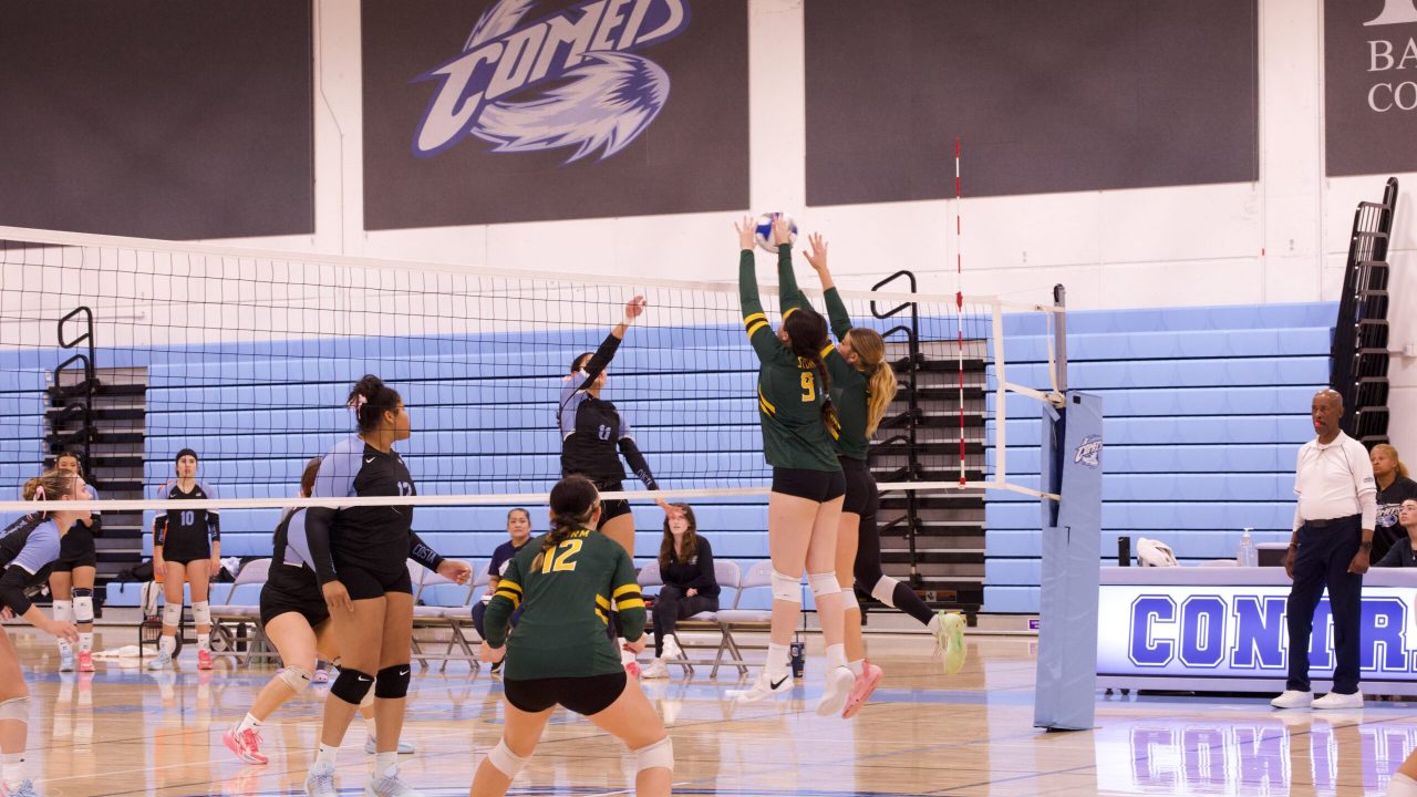 VOLLEYBALL 10125 (455)