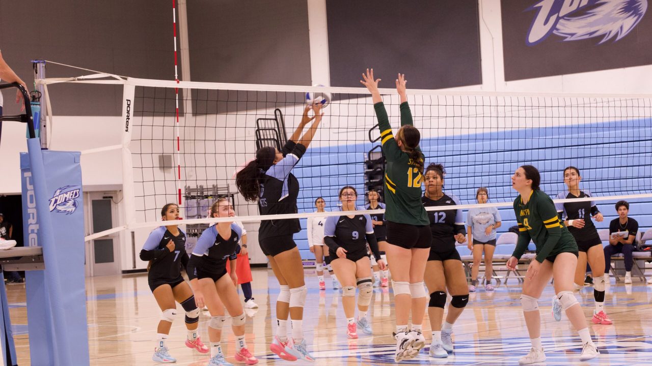 VOLLEYBALL 10125 (461)