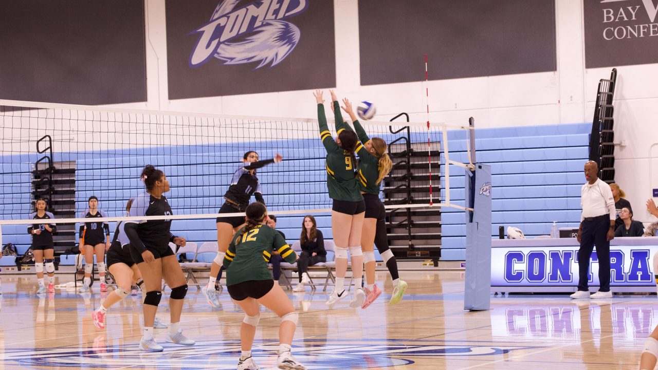 VOLLEYBALL 10125 (463)