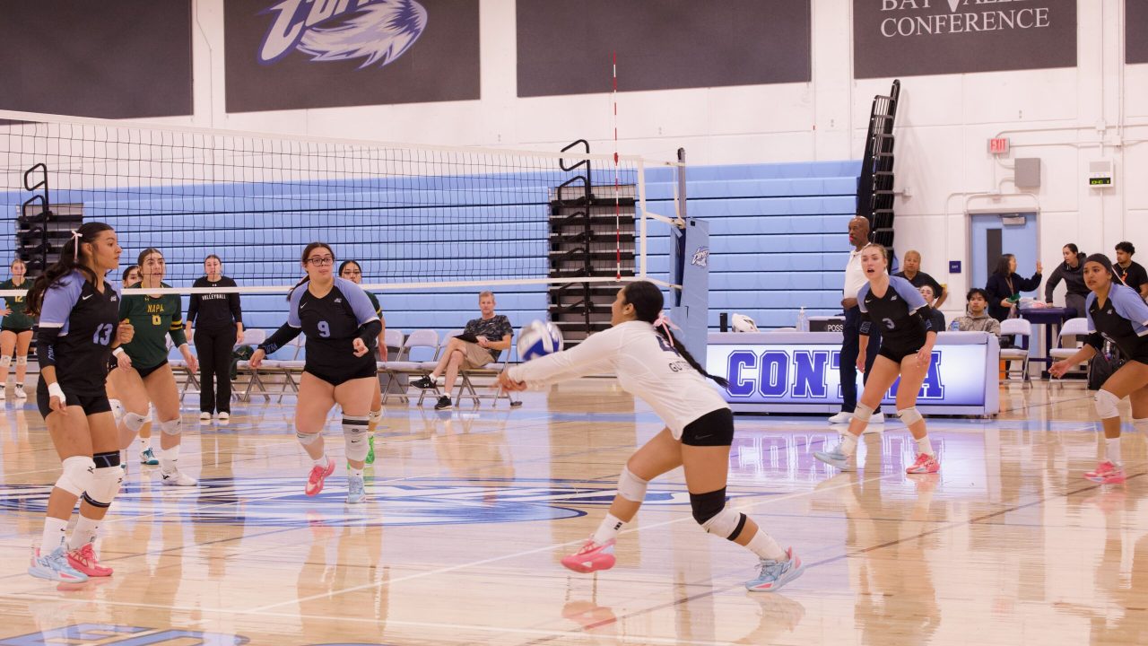 VOLLEYBALL 10125 (498)